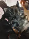 20190303_092040.webp