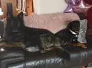 20190302_092035.webp
