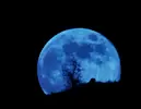 moon_8-31-2012_Priya_Kumar_Muscat_Masqat_Oman.webp