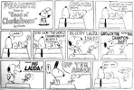 snoopylauda.webp