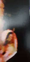 20190603_123444.webp