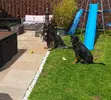 20190606_111921.webp
