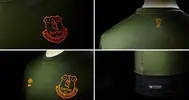 how-the-liver-bird-should-be-brought-back-to-everton-fc-for-2016-17.jpg.cf.webp