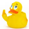 62064