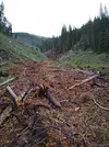 Co Trail Sect 7 003.webp
