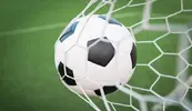 ball in net.webp