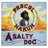 Procol_Harum-A_Salty_Dog_(album_cover).webp