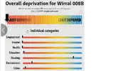 wiza.webp