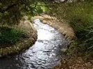 stream.webp