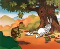 tortoise-and-hare.webp