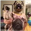 11049190_811309982287902_1396811653_n.webp