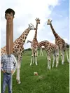 78575