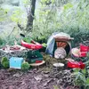 tiny-hedgehog-goes-camping-with-his-tiny-equipment-and-the-photos-are-adorable-01.webp