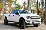 raptor.webp
