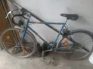 79834 79834