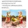 81479