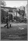paterson-south-korean-movie-poster.webp