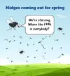 Midges.webp