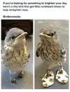 84581