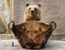 DTUmKsoWkAAWkHh.jpg large.webp