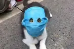 811B0563-8AD4-4797-908E-45723FBF1340.jpeg