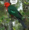 ESwbG7CUMAMEyUi.webp