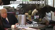 freedom-[Poor language removed]-do-5abecf.webp