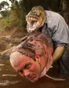wadefish.webp