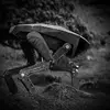 2020.v4.1-Black-Mirror-hero-image-season-4-script-transcript-episode-5-Metalhead-1.webp