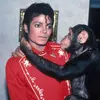 PAY-Michael-Jackson-launches-comeback-concerts.webp