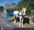 1593869850372.webp