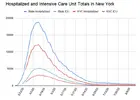 NY Hospitals.png