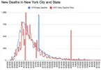 NY Deaths.png