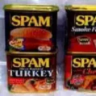 spam spam spam spam