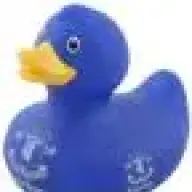 bluenorthwarrior