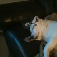 toffeeman0210