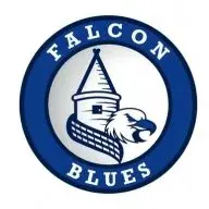 TheFalconBlues