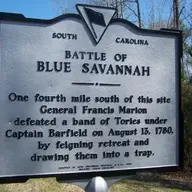 Blue Savannah