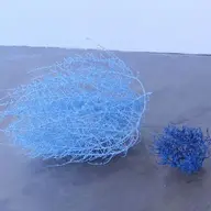 Blue Tumbleweed