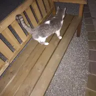 Mopom