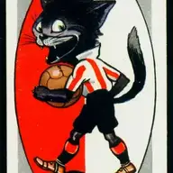 TopCatSAFC