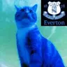 The Blue Cat