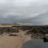 Silvergreyhead