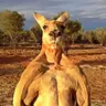 BrisbaneToffee