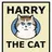 Harry The Cat